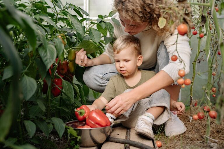 Warum Sie Wein im Herbst schneiden müssen Eine Schritt für Schritt
